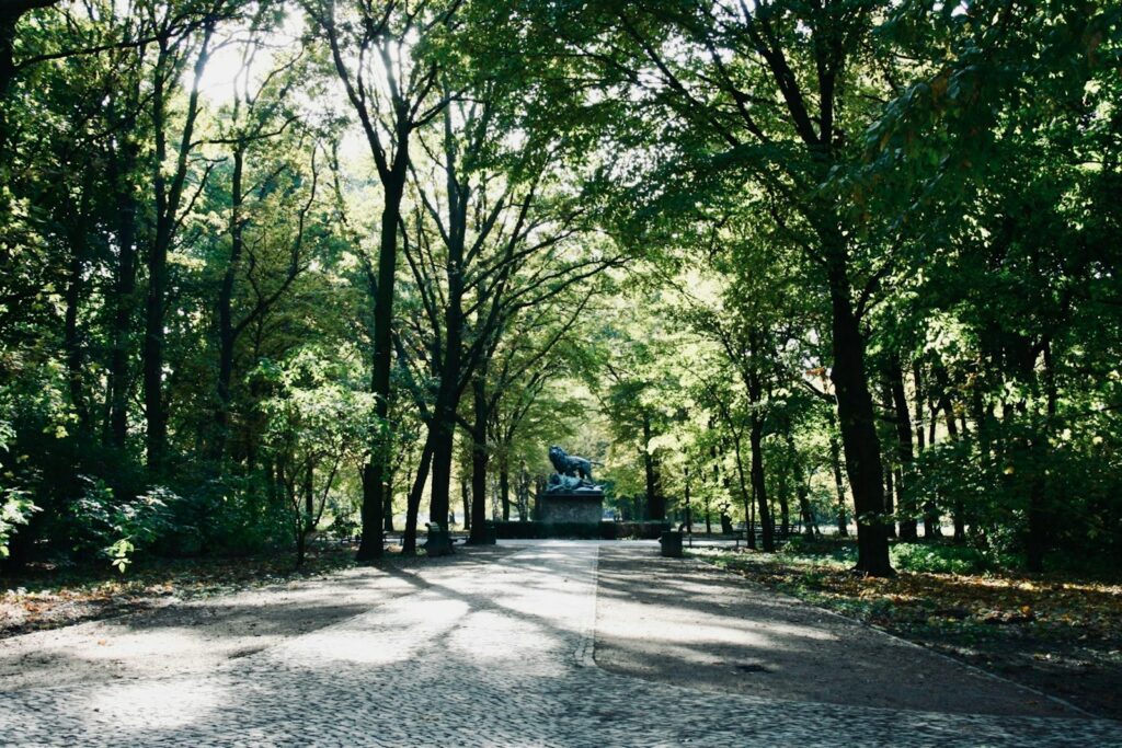 Scenic view of Tiergarten Park in Berlin with lush greenery and a serene pond